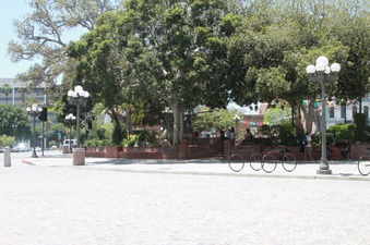 Enlarge photo 21