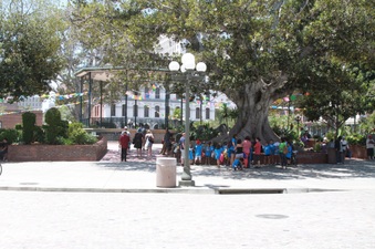 Enlarge photo 23