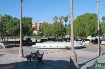 Enlarge photo 43