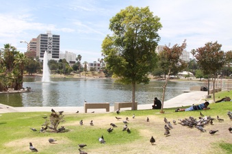 Enlarge photo 13
