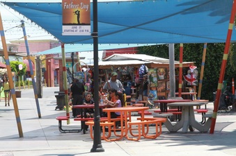 Enlarge photo 51