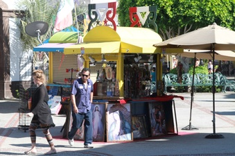 Enlarge photo 16