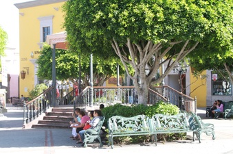 Enlarge photo 21
