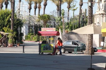 Enlarge photo 28