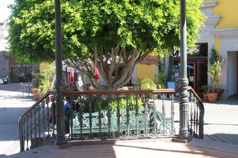 Enlarge photo 38