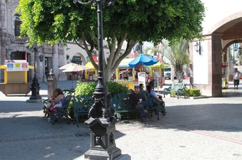 Enlarge photo 41