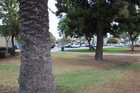 Enlarge photo 5