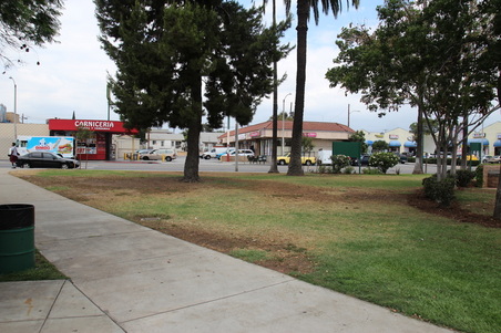 Enlarge photo 11