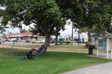 Enlarge photo 15