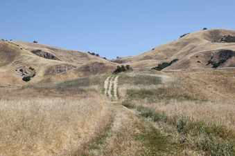 Enlarge photo 2