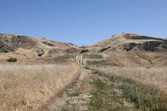 Enlarge photo 3