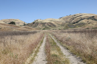 Enlarge photo 22