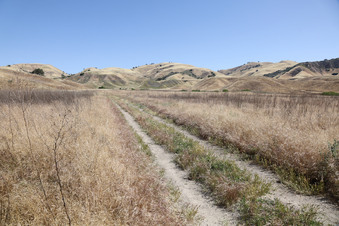 Enlarge photo 23