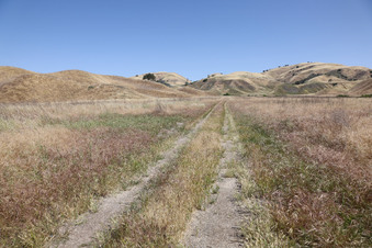 Enlarge photo 25