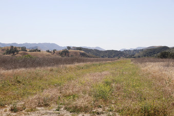 Enlarge photo 33