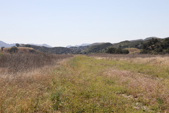 Enlarge photo 34