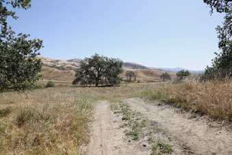 Enlarge photo 35