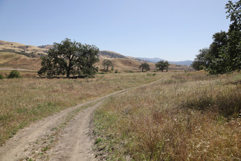 Enlarge photo 36
