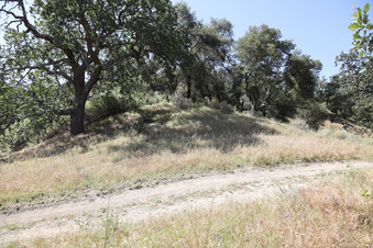Enlarge photo 38