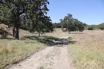 Enlarge photo 39