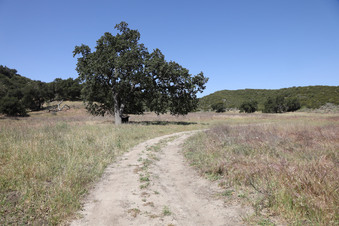 Enlarge photo 40