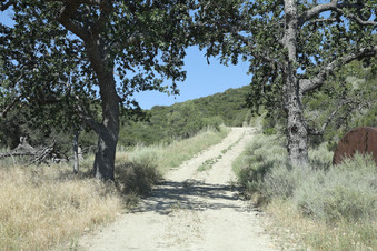 Enlarge photo 42