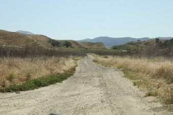 Enlarge photo 43