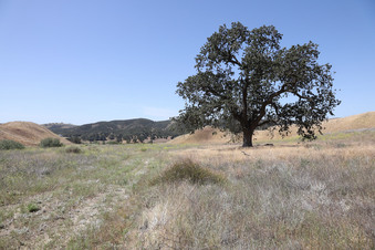 Enlarge photo 44