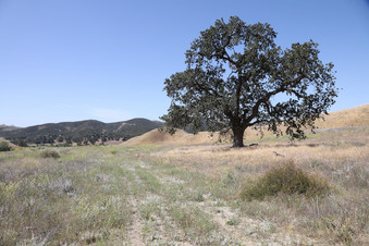 Enlarge photo 45