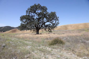 Enlarge photo 46