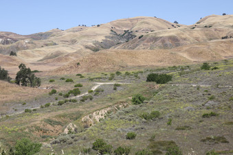 Enlarge photo 48