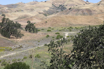 Enlarge photo 49