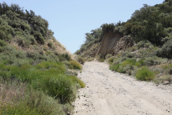 Enlarge photo 51