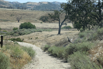 Enlarge photo 52