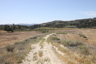 Enlarge photo 53