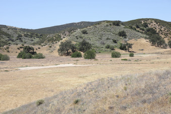 Enlarge photo 54