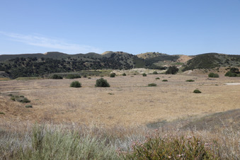 Enlarge photo 55