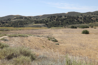 Enlarge photo 56
