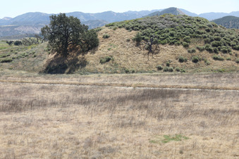 Enlarge photo 57