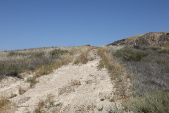Enlarge photo 58
