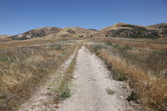 Enlarge photo 61