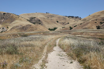 Enlarge photo 62