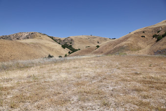 Enlarge photo 63