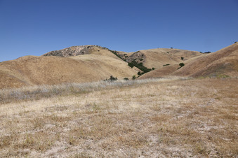 Enlarge photo 64