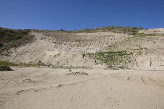Enlarge photo 23