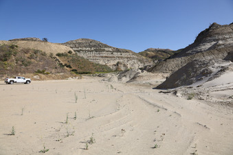 Enlarge photo 29