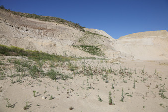 Enlarge photo 31