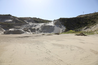 Enlarge photo 35