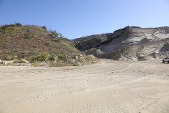 Enlarge photo 37