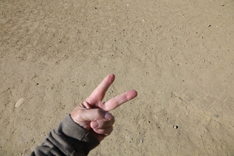Enlarge photo 38